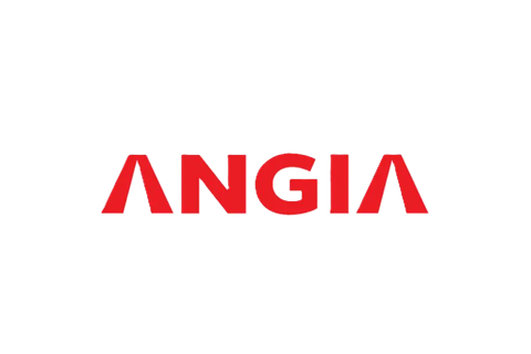Logo An Gia